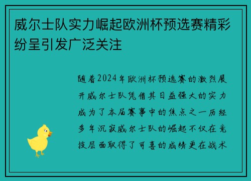 威尔士队实力崛起欧洲杯预选赛精彩纷呈引发广泛关注