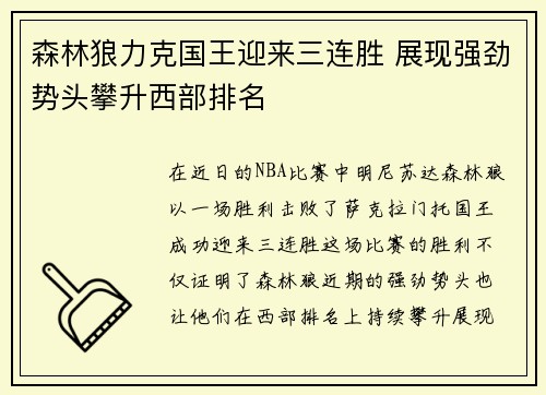 森林狼力克国王迎来三连胜 展现强劲势头攀升西部排名