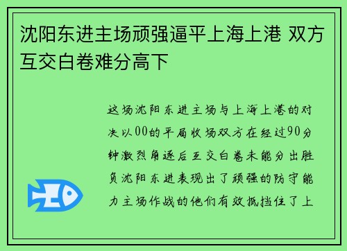 沈阳东进主场顽强逼平上海上港 双方互交白卷难分高下