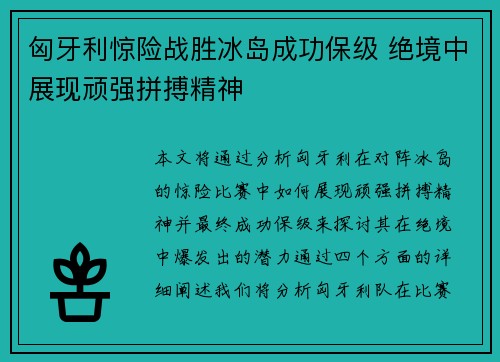 匈牙利惊险战胜冰岛成功保级 绝境中展现顽强拼搏精神